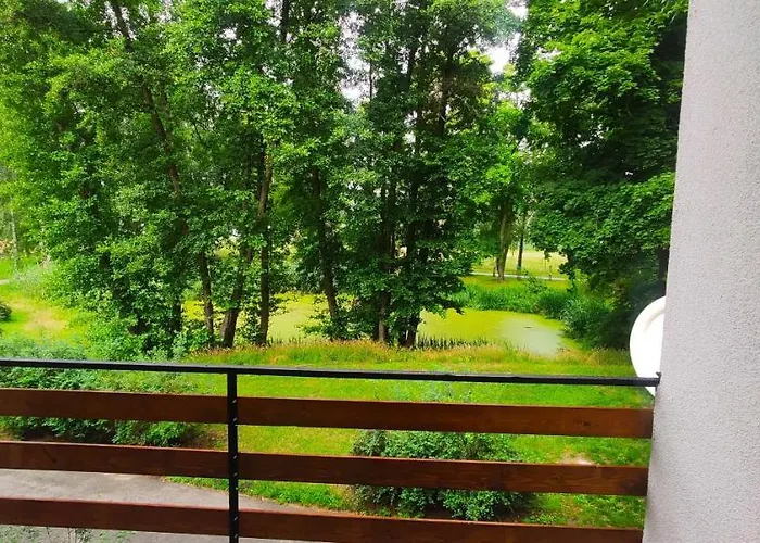 Strzeszynek - Wypoczynek